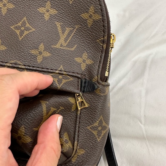 Palm Springs Mini - Picture 5 of 6